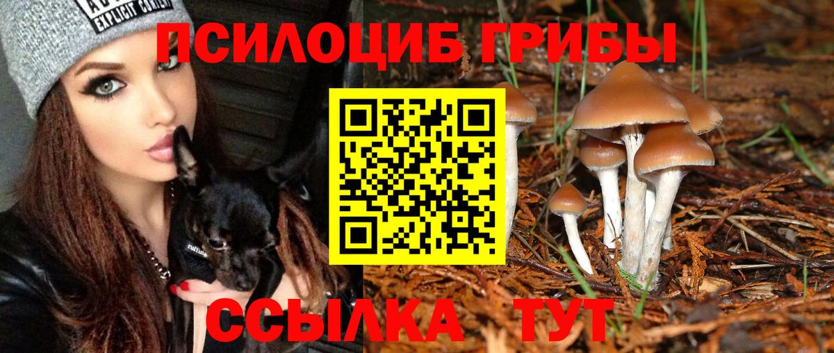 Псилоцибиновые грибы Psilocybine cubensis Нижневартовск